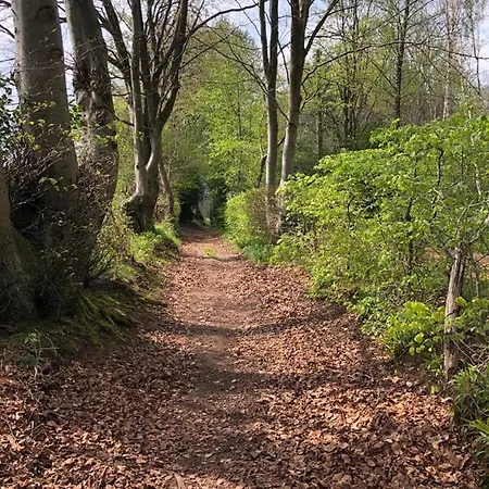 Dom wakacyjny Le Du Raidillon *